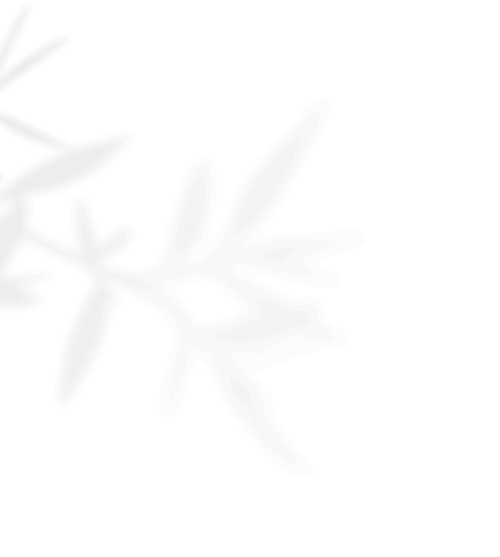 https://capcamargueevent.com/wp-content/uploads/2020/11/shadow_leaves_01.png