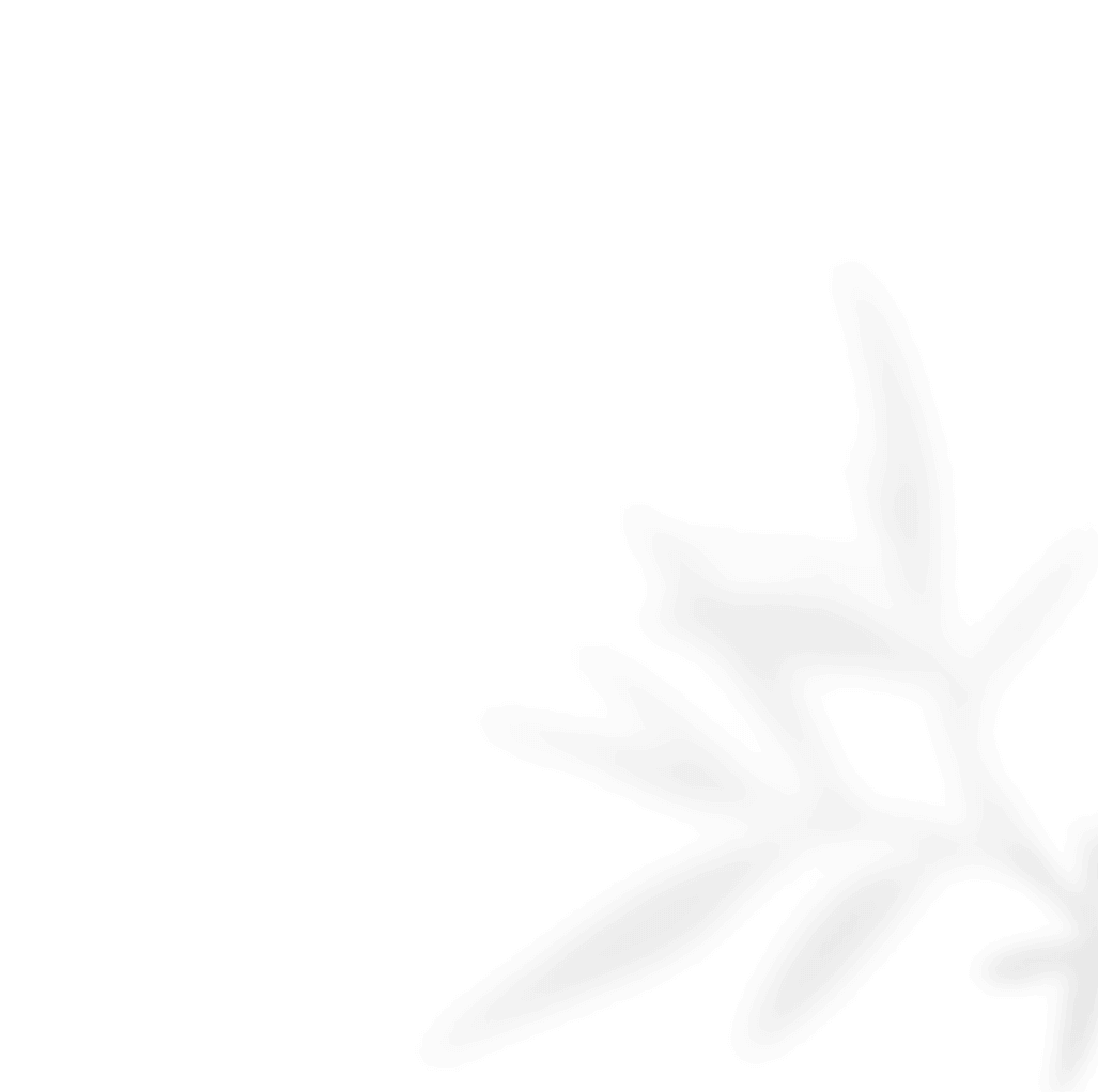 https://capcamargueevent.com/wp-content/uploads/2020/11/shadow_leaves_02.png