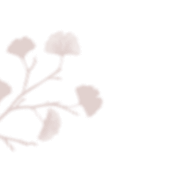 https://capcamargueevent.com/wp-content/uploads/2020/12/floating_image_01.png