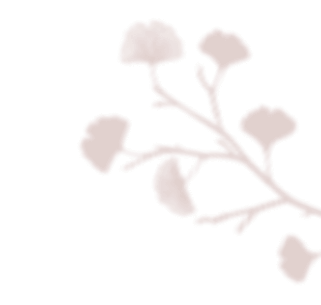 https://capcamargueevent.com/wp-content/uploads/2020/12/floating_image_02.png