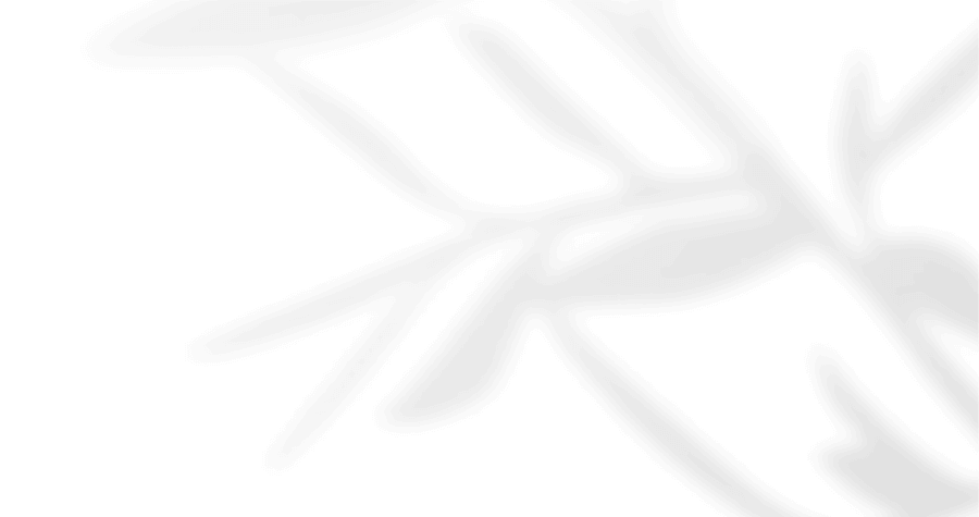 https://capcamargueevent.com/wp-content/uploads/2020/12/floating_image_05.png