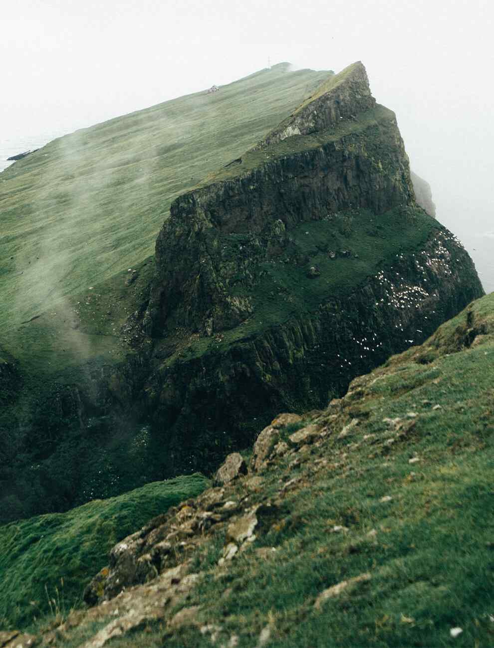 https://capcamargueevent.com/wp-content/uploads/2020/12/home_04_image_01.jpg