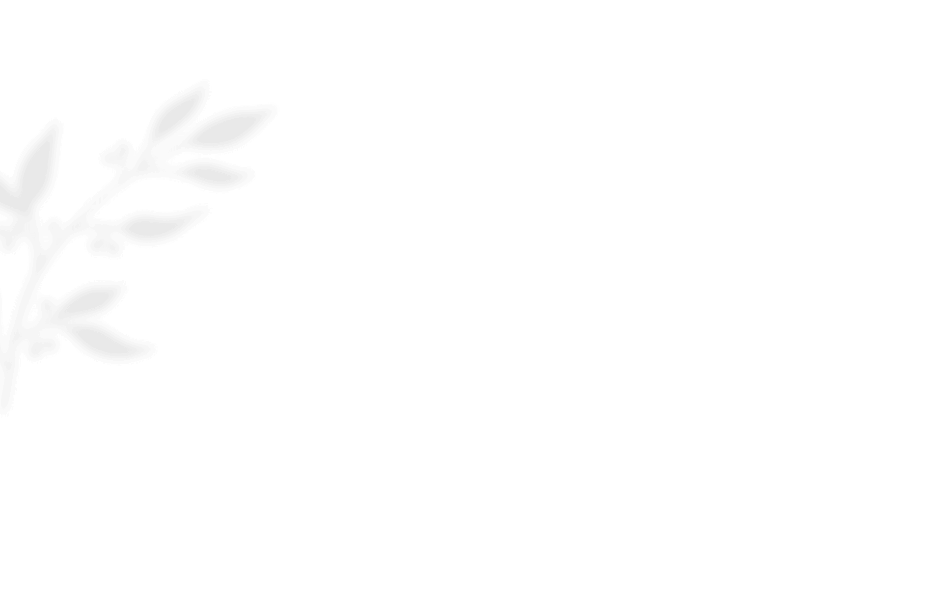 https://capcamargueevent.com/wp-content/uploads/2020/12/shadow_leaves_01.png