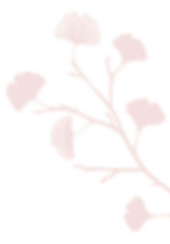 https://capcamargueevent.com/wp-content/uploads/2020/12/shadow_leaves_07.png