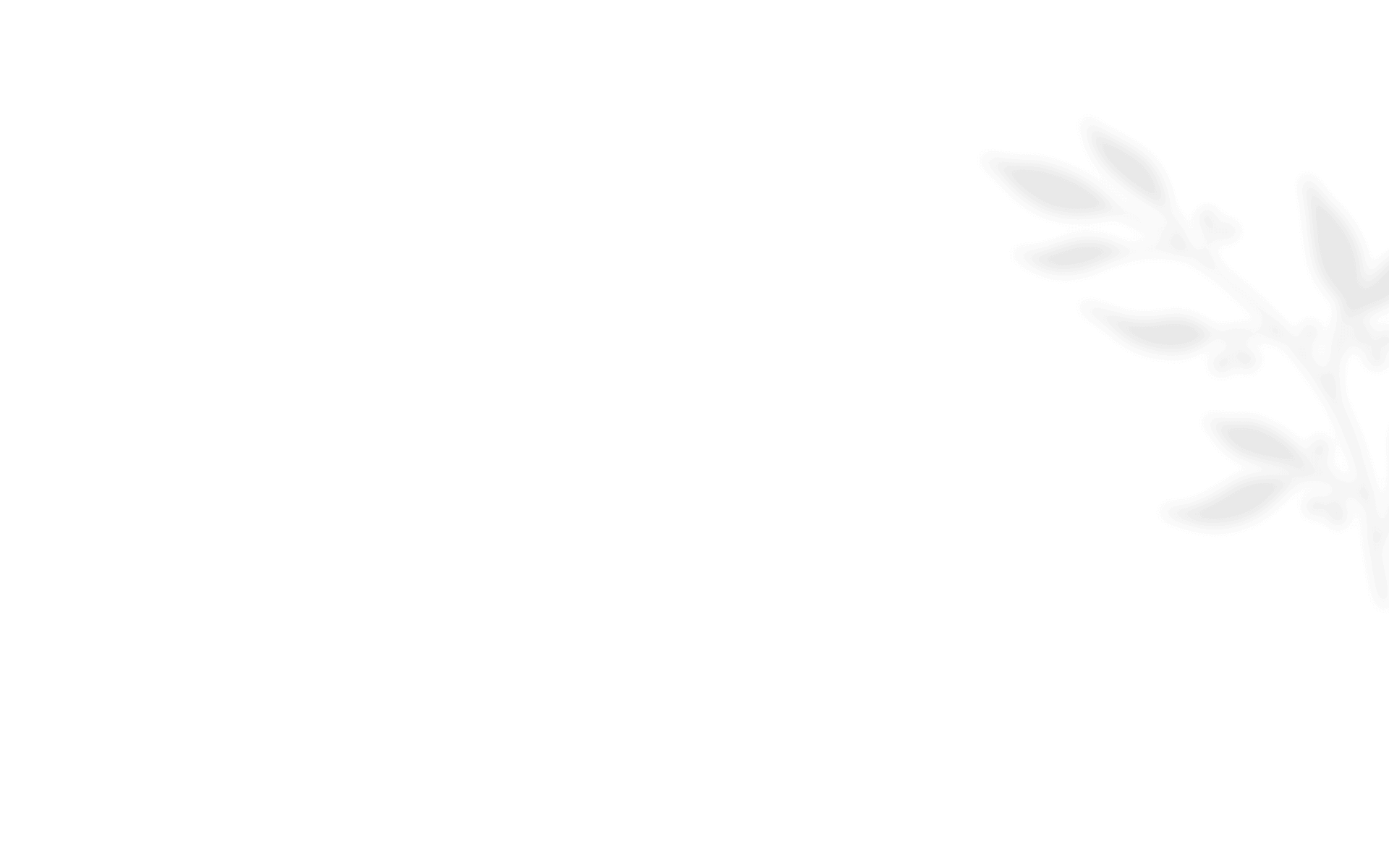 https://capcamargueevent.com/wp-content/uploads/2021/01/shadow_leaves_08.png